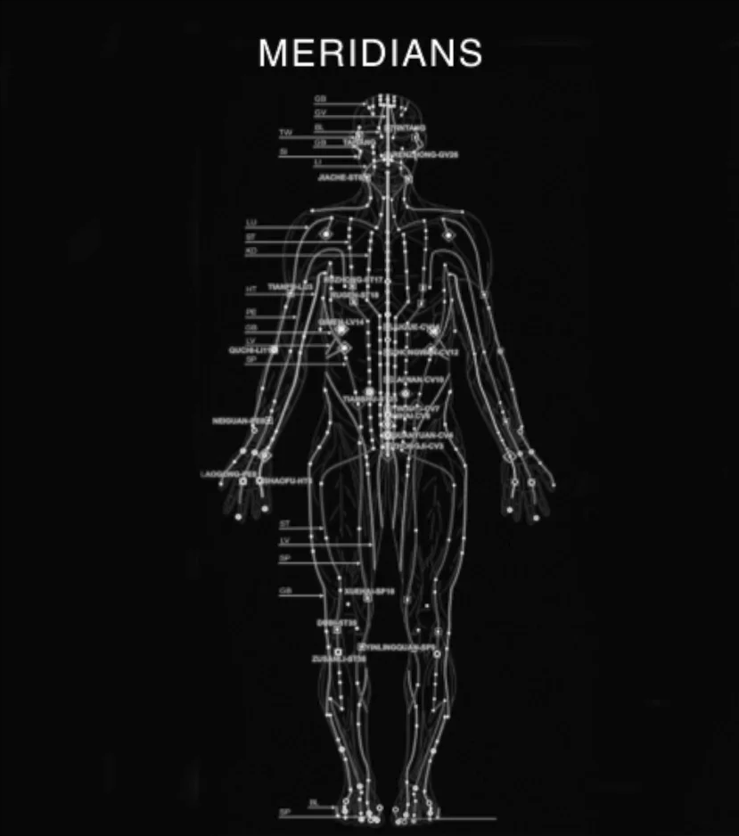 Meridians - Grand Master Nan Lu